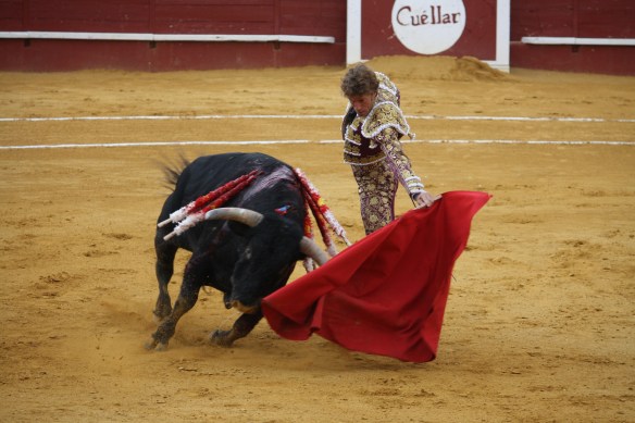 A bull of 'Los Bayones' with matador Manuel Escribano, Sep 2nd, '15, Cuéllar, Castile y León, Spain (Photo: Alexander Fiske-Harrison)