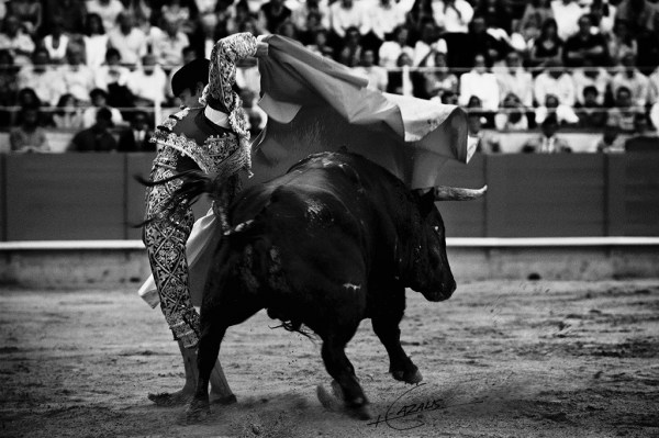 The caleserina of José Tomás by Carlos Cazalis, from his book Sangre De Reyes, 'Blood Of Kings'