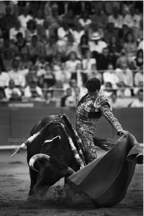 José Tomás by Carlos Cazalis from his forthcoming book Sangre de Reyes, 'Blood Of 