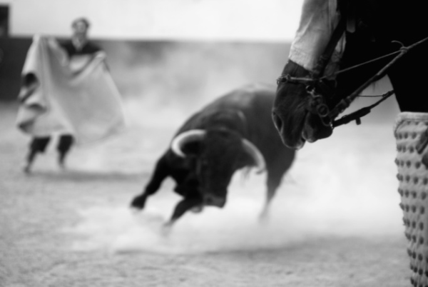 Heavy cavalry by Nicolás Haro